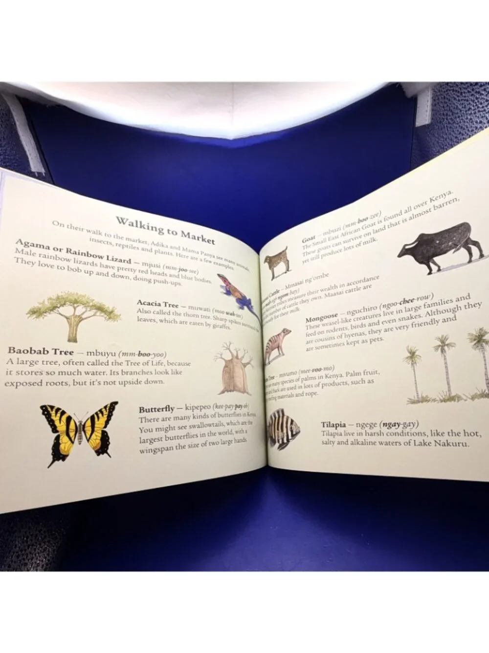 Mama Panya’s Pancakes Kenya Village Tale Barefoot Books Ex Library Multicultural